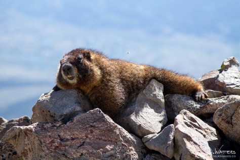 jaw_20130623-IMG_9560